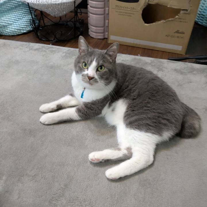 868fc1ca 2e1b 4a6c 836e 6aef74d766cc 1746857520105