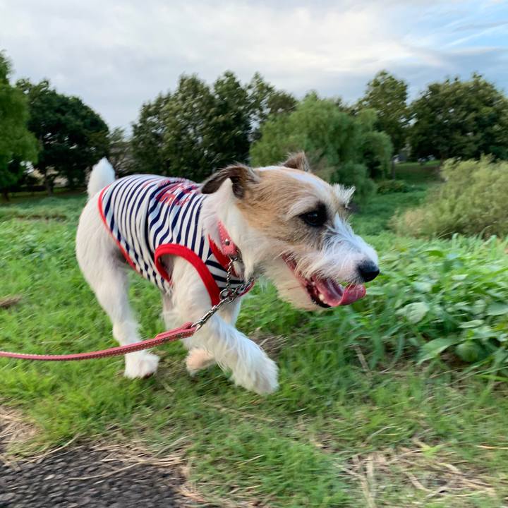 868fc2dd fad2 4827 b8c1 c3034278e9d6 1600421734339