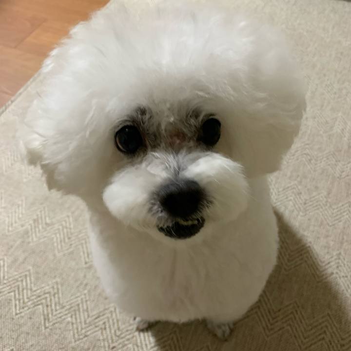 86902754 b887 4108 8d3e 99c08d41877e 1700831036162