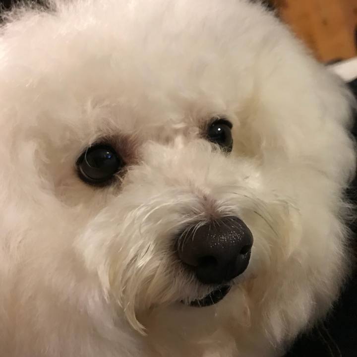 8690408b 4ed7 46a5 8c55 8912f105f35d 1538222594857