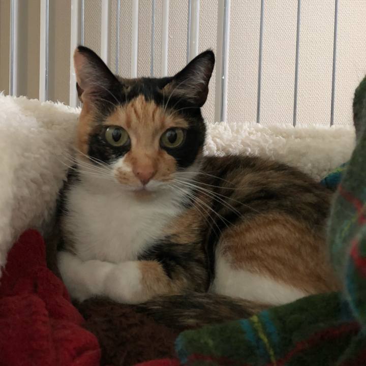 869071e0 24b8 46ec 8877 2088717d9cf9 1525568382658