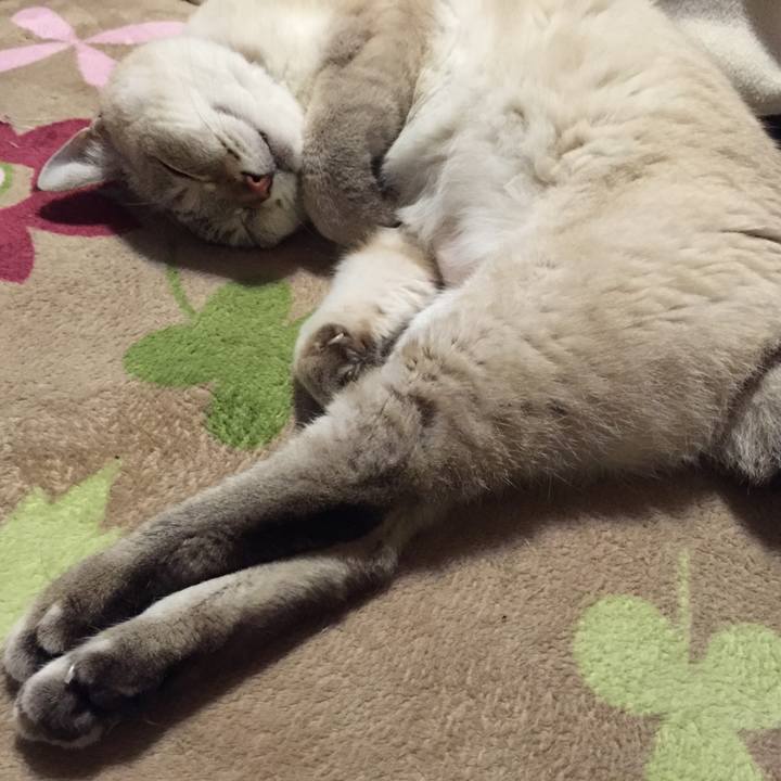 8690aaf0 a22c 4fc0 bbbe 4c3393d15d39 1543835301898