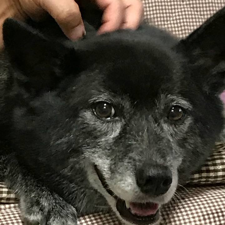 8690f113 b13d 4825 997c e62d06cf9b04 1535289318203