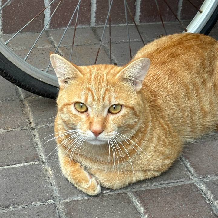 8691b4f8 cae8 49b8 a41c caf13ff6306a 1728049139863