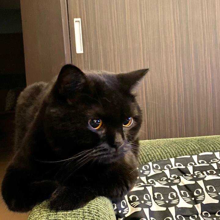 8691ee14 30c4 42bf 86e7 5aeab6392e53 1658317040849