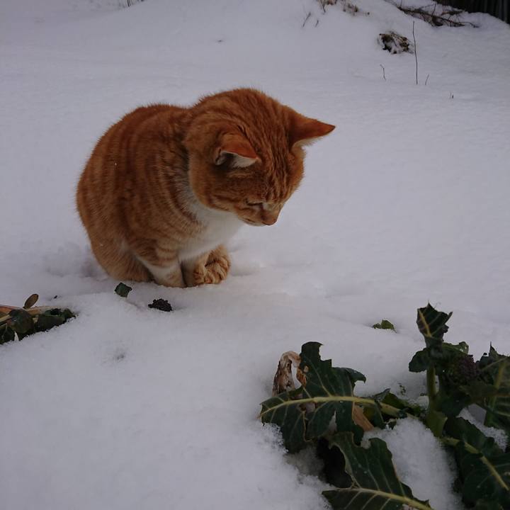 86925c4b 0e04 4b81 8290 8dfd3efce757 1581387010315