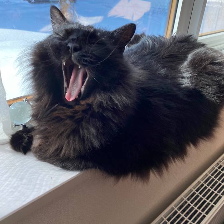 86926af2 4432 4ebb 8116 08d7a6a1b2d9 1581218837739