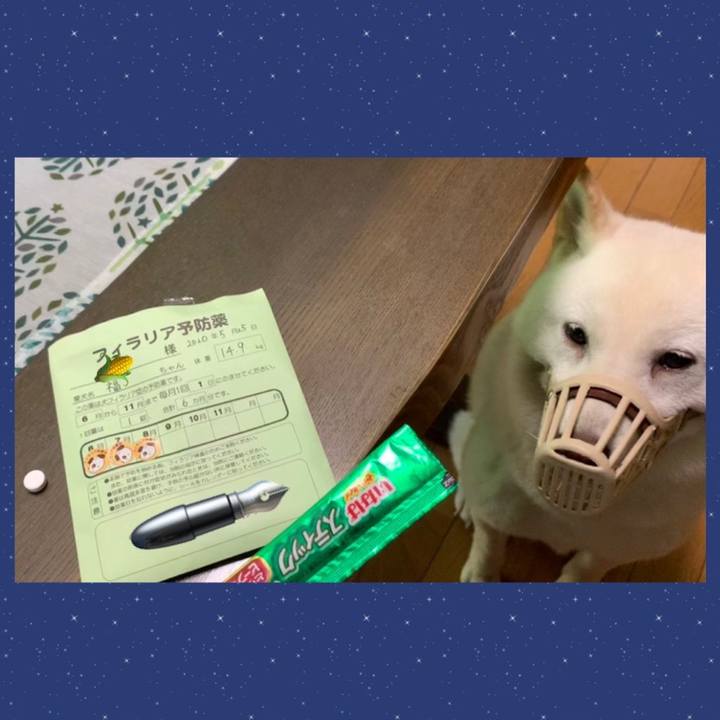 86928757 a145 4c74 8286 6ce9a6b7855b 1596237001547