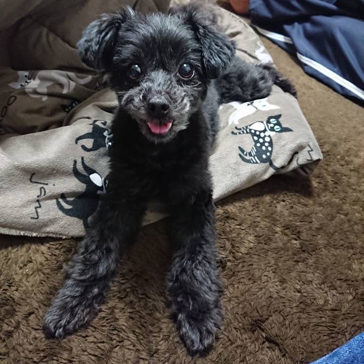 86928900 6051 416f 84b5 c7449347c852 1523790707211