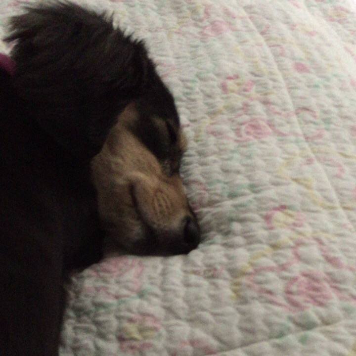 86928d0e d254 4adf 90a2 cdd04308a978 1531345039463