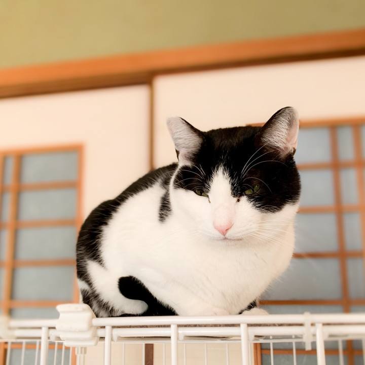 8692b34d 8034 4346 a6ba 3c563f62903a 1587002797833