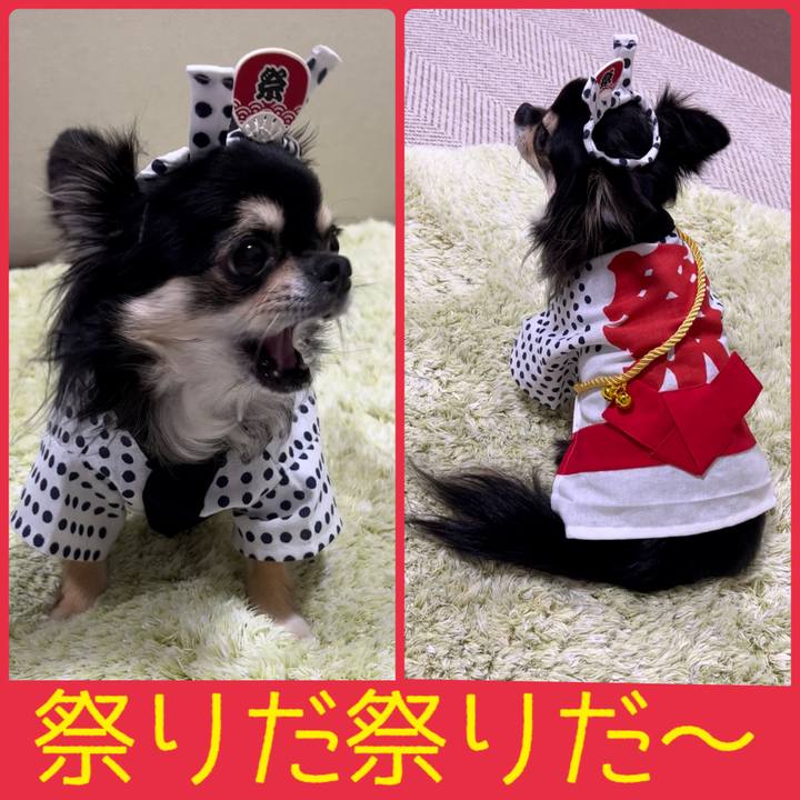 8692b722 8bdf 4137 9ed8 704f6edd9e2f 1663311463250