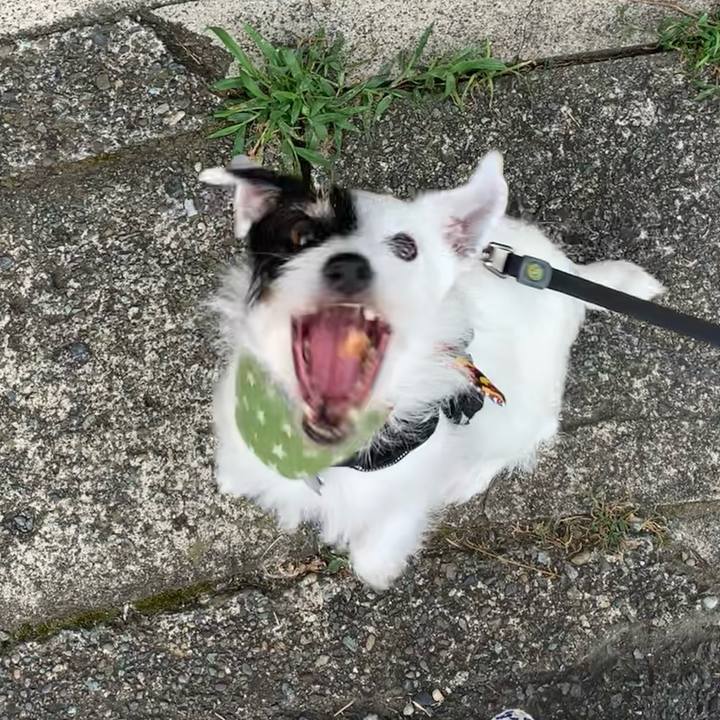 8692db98 3cc3 477d 9e53 0e5dee0e9a65 1722207138770