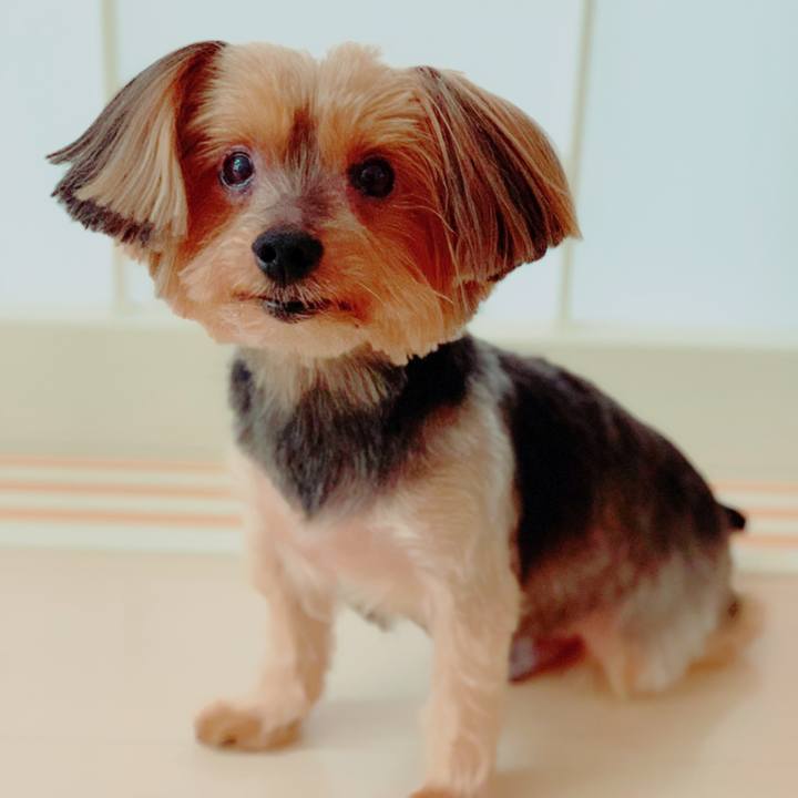 8692effe 593b 4fae b264 3c0185d5e878 1586145275234