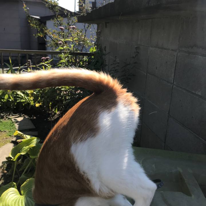 8692fe86 27dd 41b0 a50f 4f59f94db7d7 1508211696970