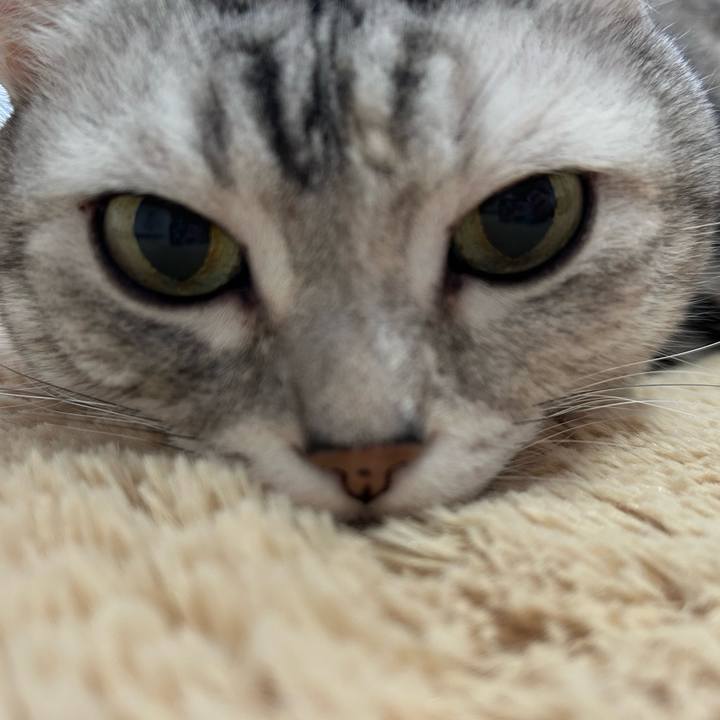 86930076 88c0 4ad8 aed4 2ae8241c08e5 1765067079018