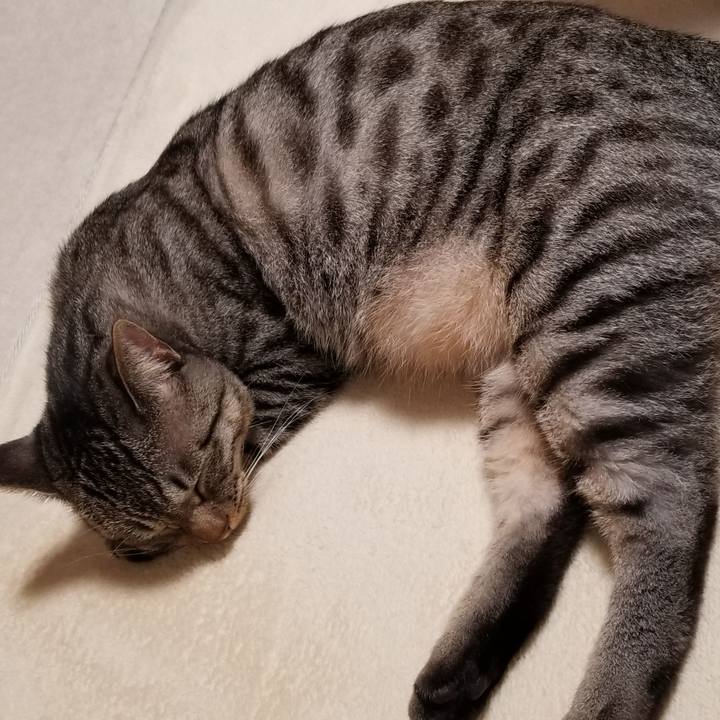 8693142e 9d1b 4a6c 8225 d8ffcfbebb77 1689206892874