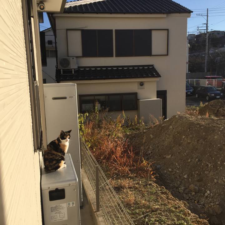 86933f88 33f1 488a bfb2 e043ed724d73 1513560629234