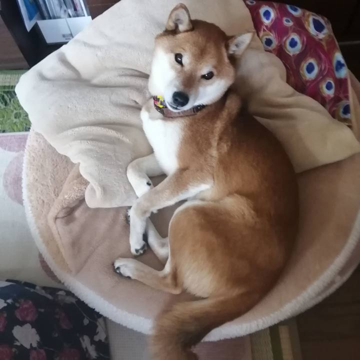 86935109 b396 498e a1d8 fbf8c041e499 1641610567255