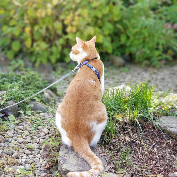 869396fe e5ad 4820 b3c9 9c1e77968822 1538877671632