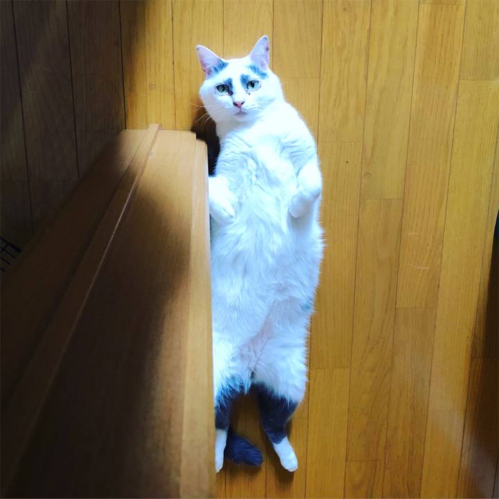 86939ce5 f91e 41e2 a21f 26f9c97cd5f0 1565483313032