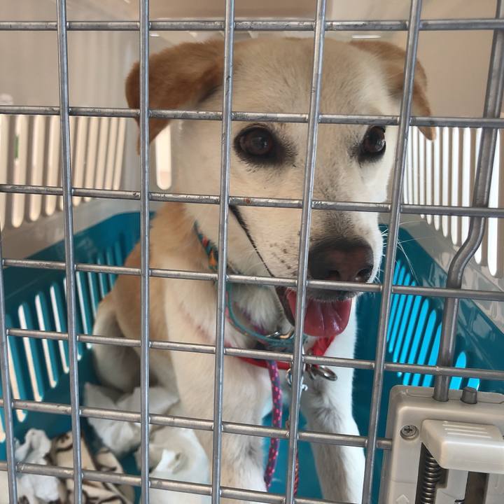 8693b6ae 34e4 4b1f 9639 c2431b3bdeb9 1623286107217