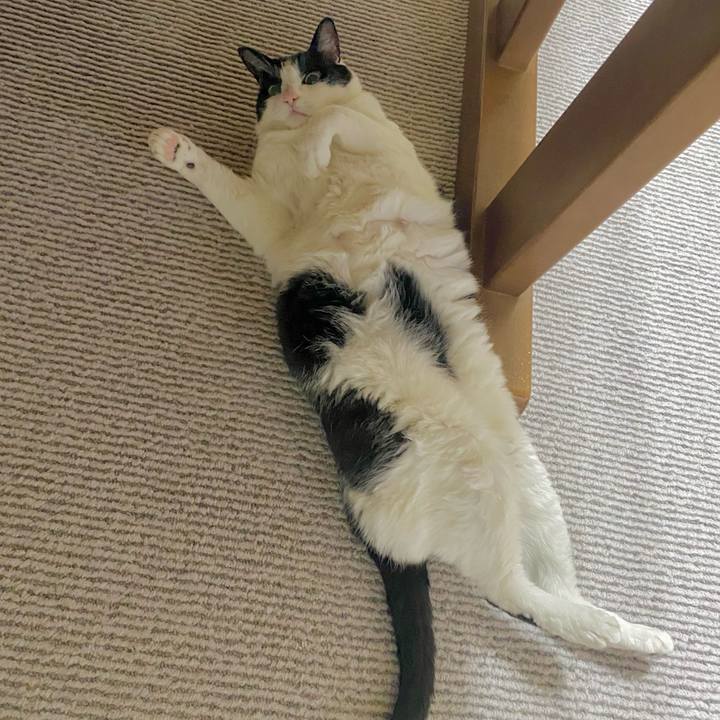 8693bba5 9534 496f b880 2c676b21d05c 1743477582702