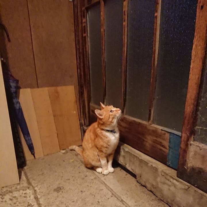 8693d43d 6cca 4cda a1df 9d2b9bb76fb8 1603876049942