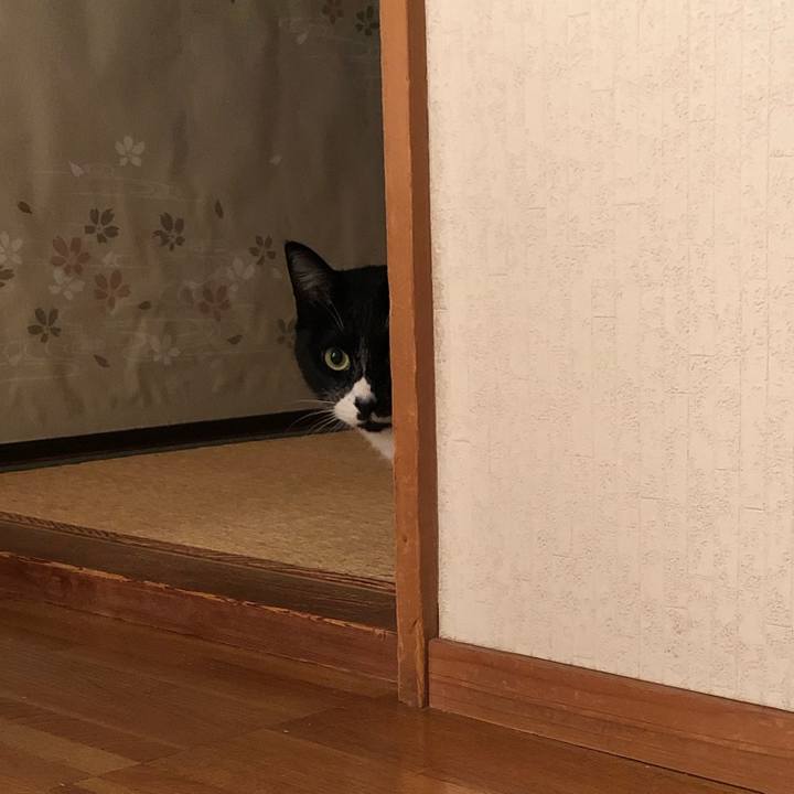 86940d09 a20b 4051 9245 f216dbbd1a8d 1572340761322