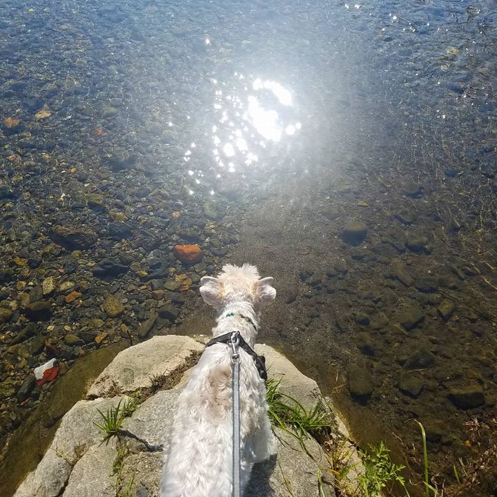 869419ed e84e 4a69 94d3 895388e803f7 1541936868070