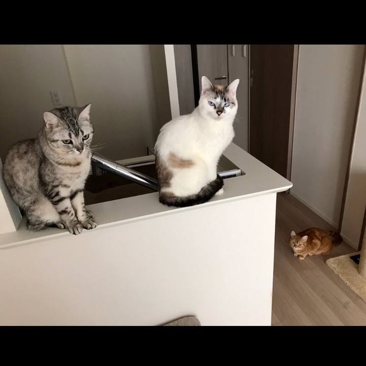 86941bfb 562b 4895 a81e 8747fa32d9a4 1526251661310