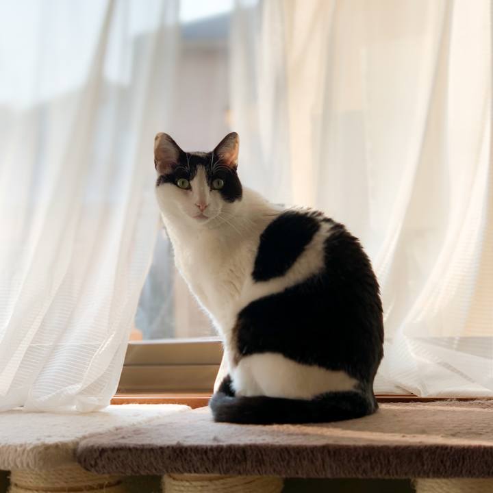 86949464 05b0 4f68 866a fa8f7cdd421e 1590109986477