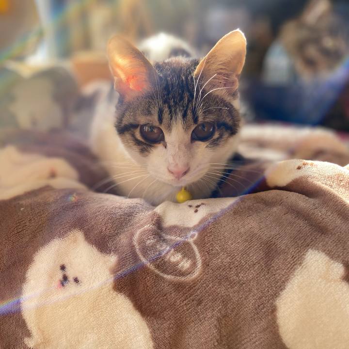 86949ac5 eb33 4943 89e9 28410ce500b9 1704694751109