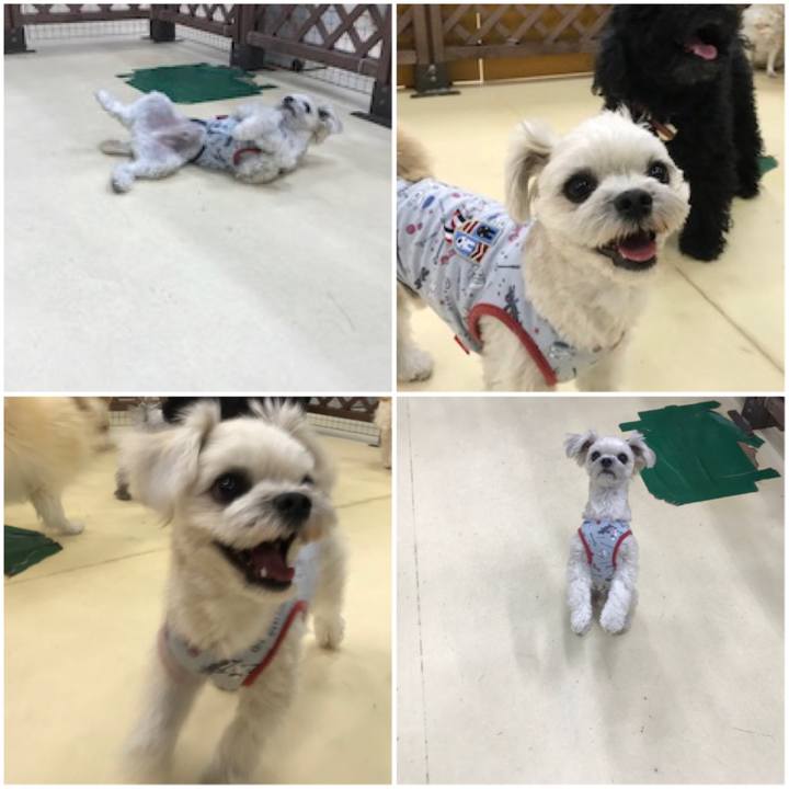 8694a480 d524 4d67 8d31 8d69970425e1 1518607850925