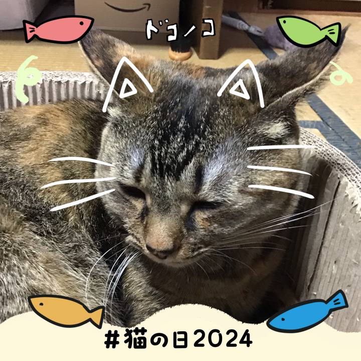 8694bc66 3bbd 4594 9c37 0b70d2606ce0 1708590894637