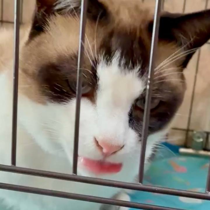 8694c2ab 8a1f 432d 90ac afd6c5db3a3e 1753063324249