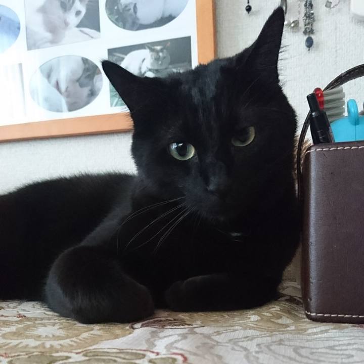 8694cd0f 3b04 4765 a34b 5feaf1ec2efc 1515030027874