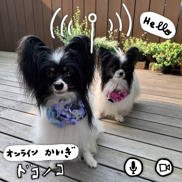 8694ea93 b0b4 423a 8a4d 043ca320412d 1591404527076