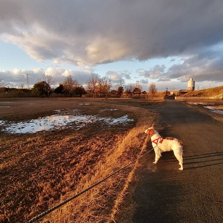 869524b5 5dde 4796 a3ab e56a79a207cb 1578483918141