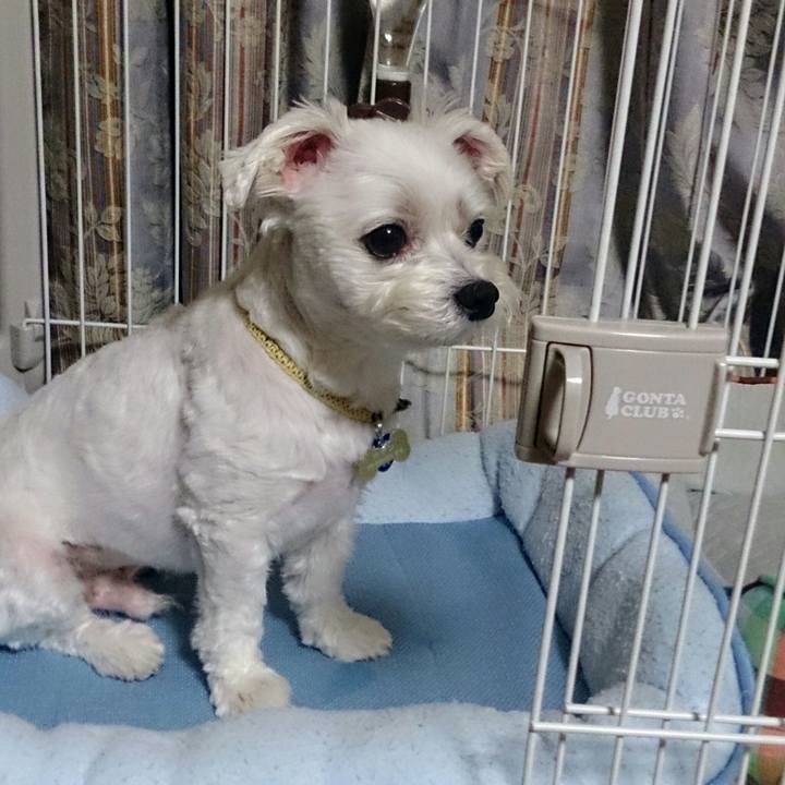 86953209 2b50 4768 b088 7827cd08a633 1528114420170