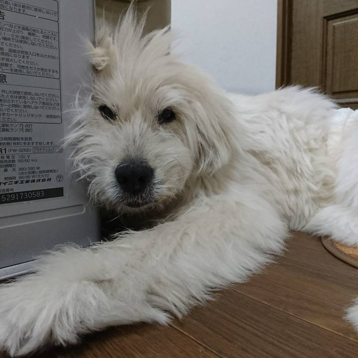 8695685f ad0f 4de3 af71 983e0a5a7cb6 1605858879423