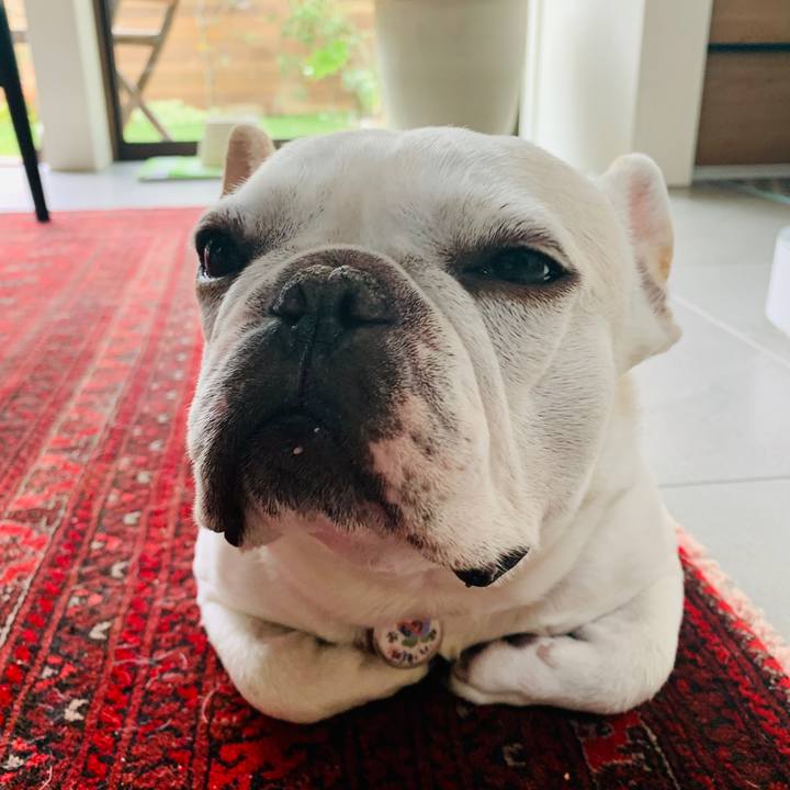 86959727 2a9d 460b ab9b c1a575d35d8e 1589335940342