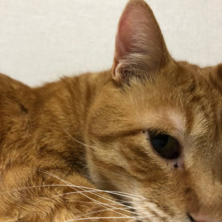 8695c0f4 f00f 4d9b b33d ec688ff882fd 1587554571804