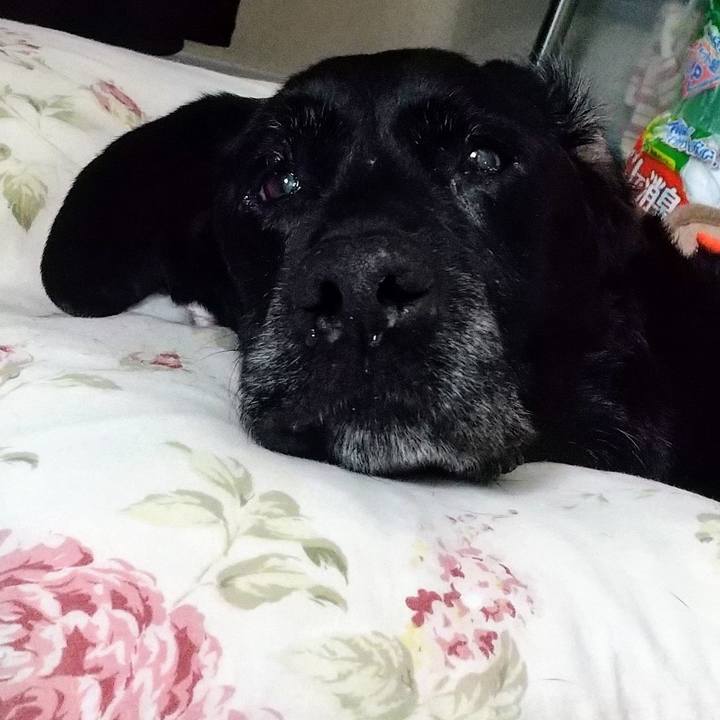 8696337f a51a 4acb 840f cb46b48092e1 1719808693887