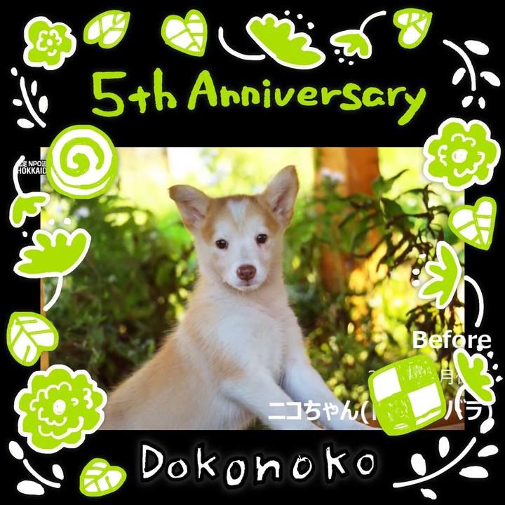 869680b0 892d 49d4 a11d 268efa39d7f6 1623241786676