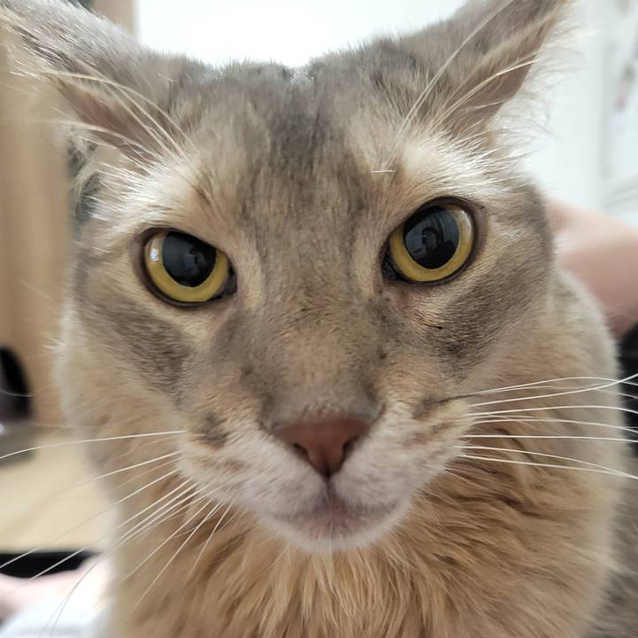 86968fa9 fc75 4b8d 88ee 209ee2f36d04 1650887118709