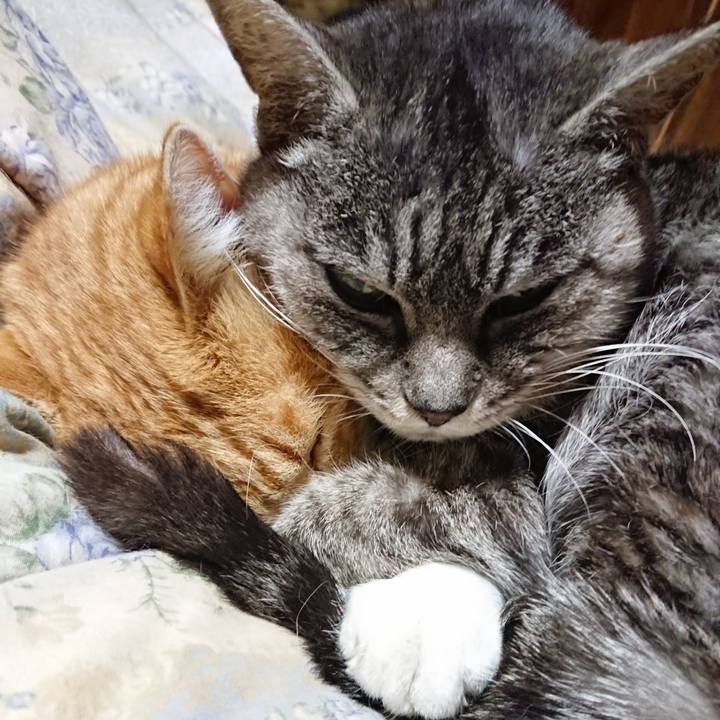 869697f1 122c 4fb6 b282 b1dc103a08fc 1580038453576