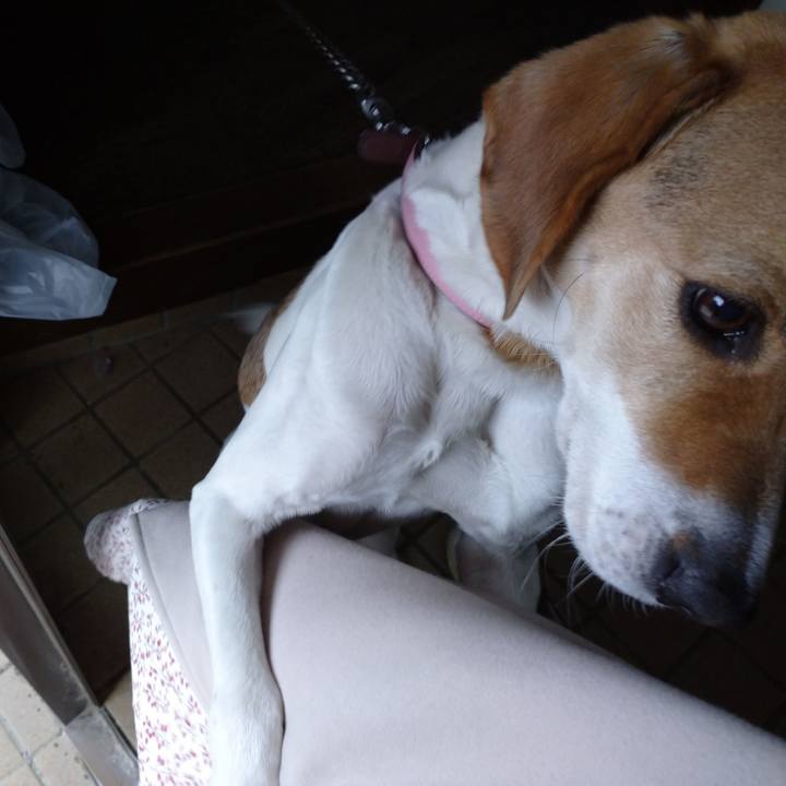 8696b3a3 bbda 4949 a2eb 92d82983865a 1581777229682