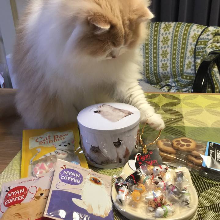 8696d244 7dff 4755 ac68 a2cda3ae038d 1550394314239