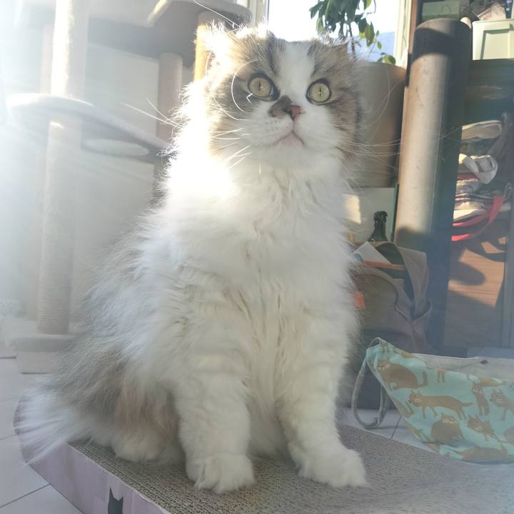 8696eb8c 061f 44e3 8316 2475db437591 1760484488810